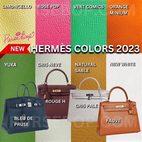 hermes burgundy color|Hermes purse colors.